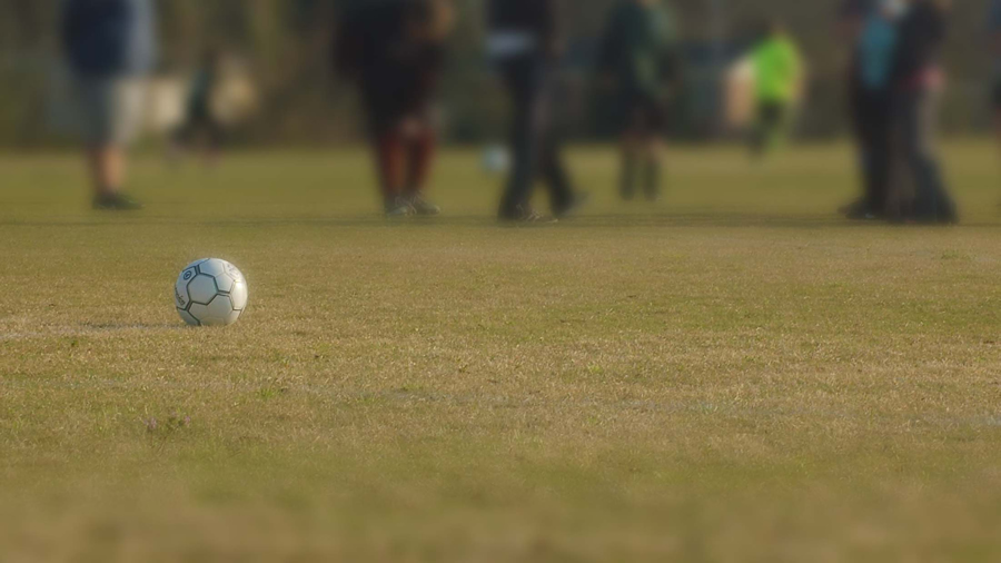 Soccer Ball on the field